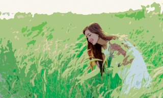 Mùi hoa cỏ